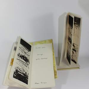 Songes 60/60 by julius Baltazar-L, Michel Déon-A 