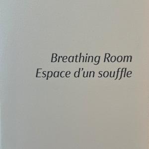 Breathing Room / Espace d'un souffle by Katia Grubisic-A, Ed Pien-L 