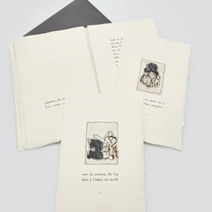 Victoire sans victoire by Alain Bar-L, André Velter-A 