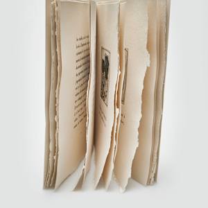 Victoire sans victoire by Alain Bar-L, André Velter-A 