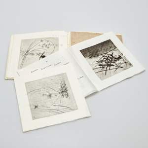 Voir vrai by julius Baltazar-L, Guy Marester-A, Jean Miotte-A 