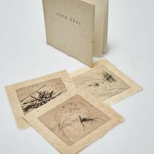 Voir vrai by julius Baltazar-L, Guy Marester-A, Jean Miotte-A 