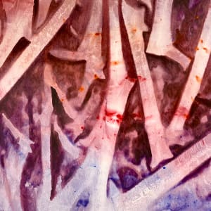 11.50 010524  ~ 12.04 020524 (45.4417996, 11.0048914) by Carlo