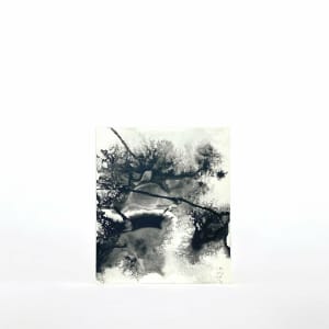 In Vitro 000 by Carlo Brunelli 