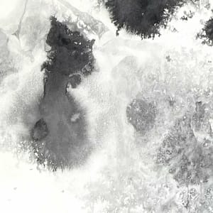 In vitro 002 by Carlo Brunelli 