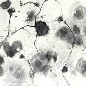 In vitro 002 by Carlo Brunelli
