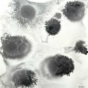 In vitro 001 by Carlo Brunelli
