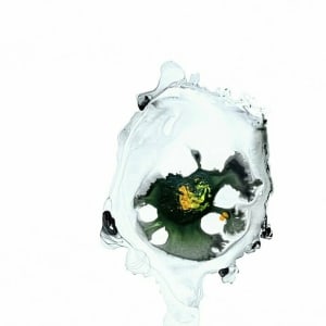 Oyster & Egg 009-011 by Carlo 