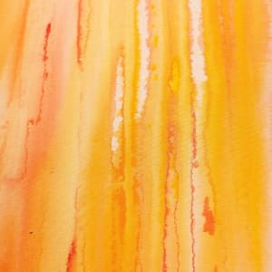 Cortecce 001 by Carlo 