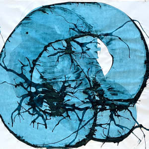 Flow 012 by Carlo Brunelli