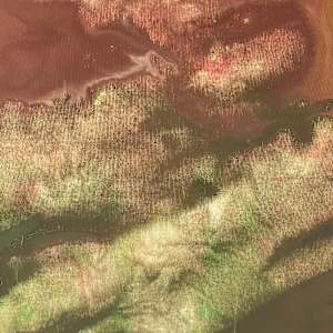 BRUSSA 5 _15.57 301024  ~ 9.34 311024 (45,65982° N, 12,92601° E) by Carlo Brunelli 