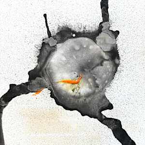Cell 030 by Carlo Brunelli