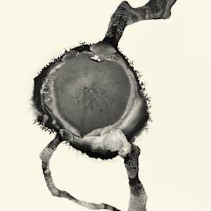 Blow 020 by Carlo Brunelli, Image 1.