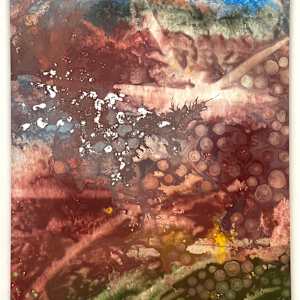BRUSSA 5 _15.57 301024  ~ 9.34 311024 (45,65982° N, 12,92601° E) by Carlo Brunelli 