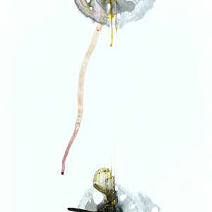 Oyster & Egg 004-008 by Carlo Brunelli 