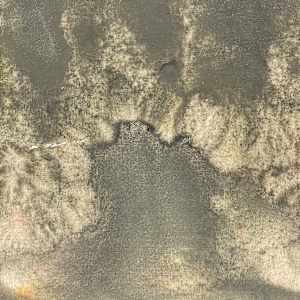 BRUSSA 5 _15.57 301024  ~ 9.34 311024 (45,65982° N, 12,92601° E) by Carlo Brunelli 