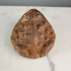 Cast Iron Toad 