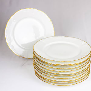 Haviland Limoges Dinner Plates by Limoges 