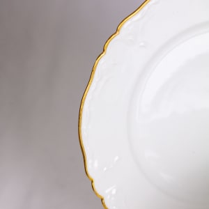Haviland Limoges Dinner Plates by Limoges 