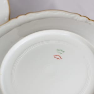 Haviland Limoges Dinner Plates by Limoges 