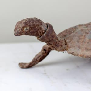 Old Iron Turtle 
