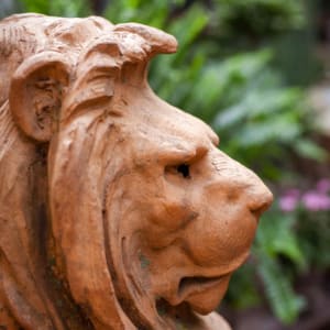 Antique French/ English Terra-Cotta Lion 