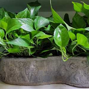 Lead Bird Bath 1700s 