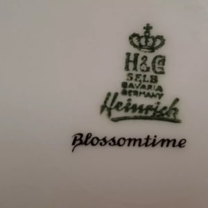 Blossomtime Plates, Set of 12 by Heinrich Selb Bavaria 