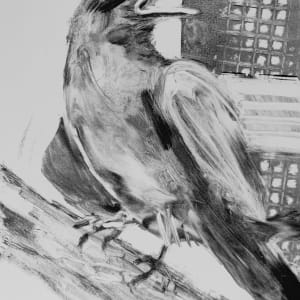 Crow  #1 by Susan L Mueller