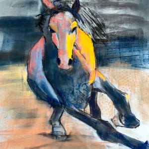 Golden Fury by Susan L Mueller