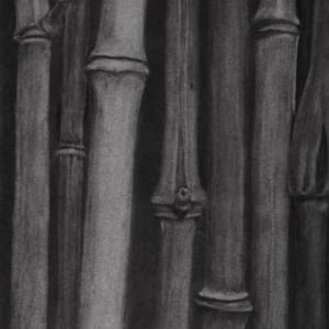 Bamboo by Susan L Mueller
