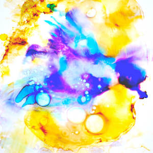 Stellar Blue Jay II by Julie Miller