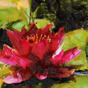 Red Water Lilly by Joseph Perryman