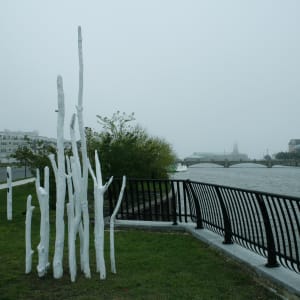 Senzo by Harry Matti Hukkinen