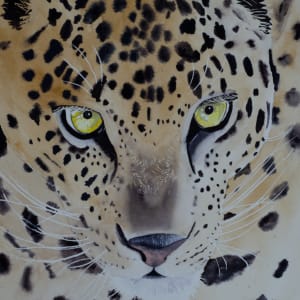 Spotted at the Zanzibar by Laurel Best