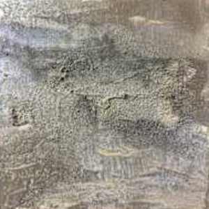 MOONBEAM by Lisa Daniel, Image 2.