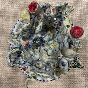 Platter of Emotions Anyone? by Hema A. Bharadwaj