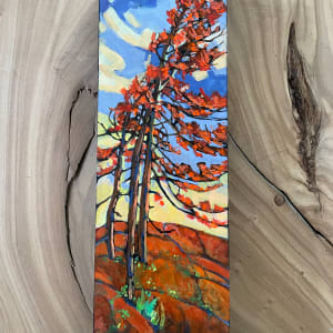 Burnished Boreal by Dawn Schmidt 