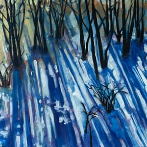 Winters Twilight Shadows by Dawn Schmidt 