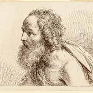 Portrait of an Old Man with a Beard, with Naked Shoulders by Francesco Bartolozzi