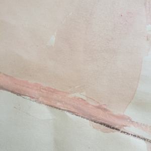 Pink Female Nude 1 by Arlene Risi Streich 