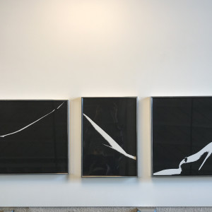 Nude Triptych by D Kohn