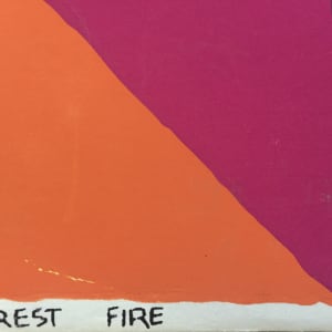 Forest Fire by Sidney Jones Gordon Budnick 
