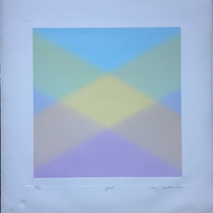 Barry Nelson 1978 Op-Art Etching with Aquatint by Barry Nelson 