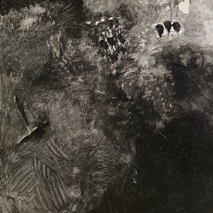 "Kingdoms" by Bill Shields 