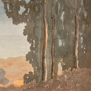 1960s "Eucalyptus Grove" Painting by Unknown 