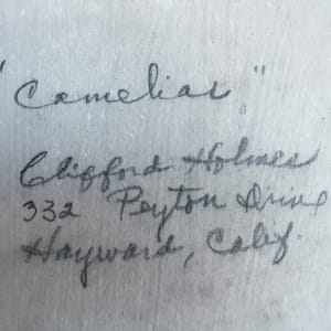Camelias by Clifford Holmes 