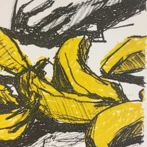 Bananananery by David Robb 