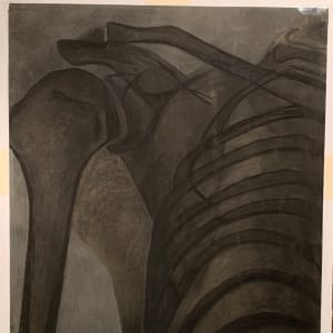 "Clavicle and Ribs" by Edith  Isaac-Rose 
