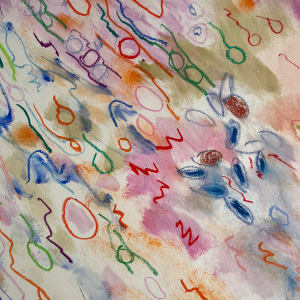 "Shooting Star" by Elaine Kaufman Feiner 